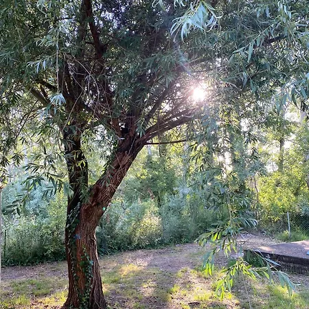 Holiday home Vizparti Nyaralo -